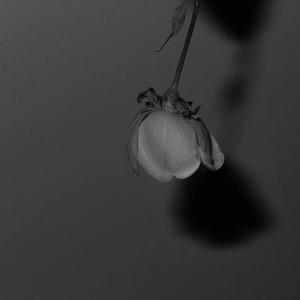 乖⋯好舒服⋯把腿张开H
